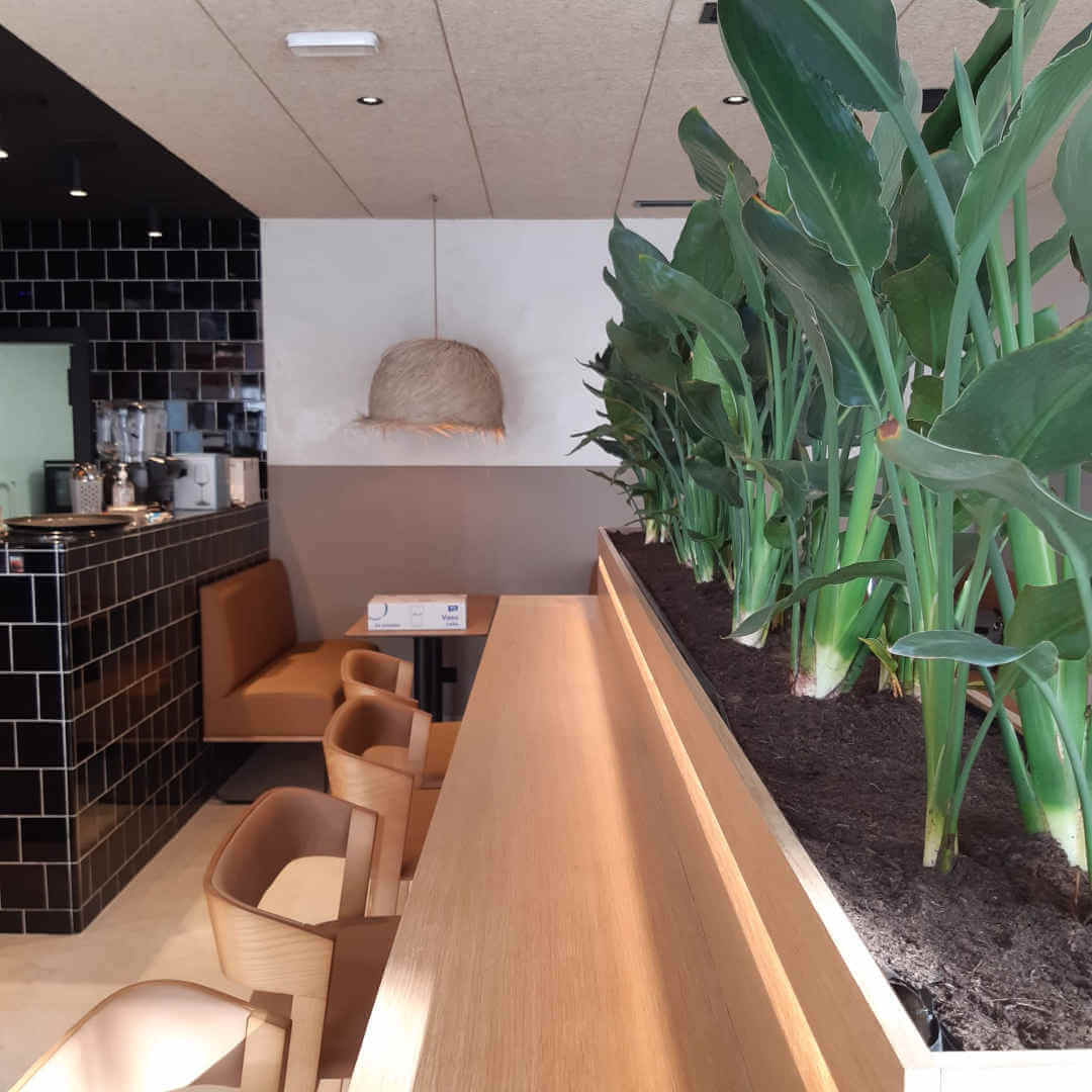 Blé, panadería y cafetería en Madrid. Interiorismo de Triscaideca (foto 3)