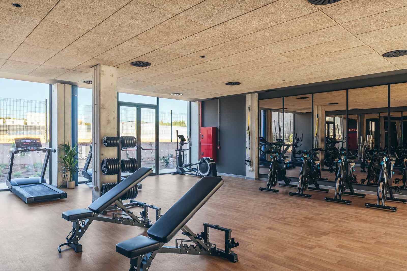 Proyecto de Triscaideca - 